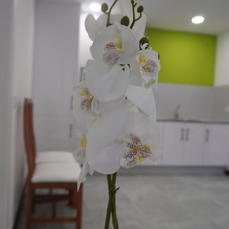 Lumbrales Apartamento Sanin 3 מראה חיצוני תמונה
